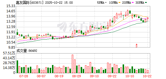 九连阳 嘉友国际：2024年年度权益分派实施公告